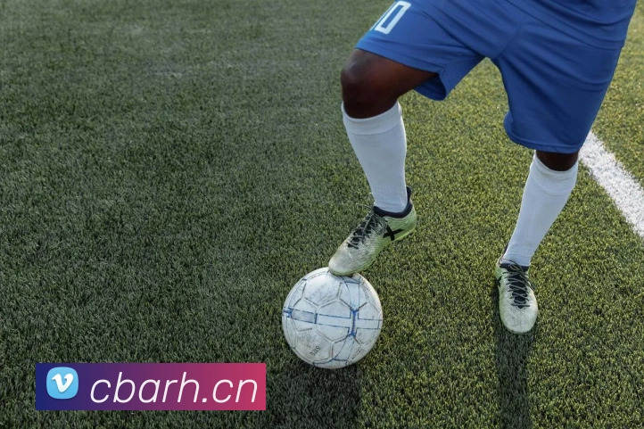 星空官方网站登录入口平台生态图